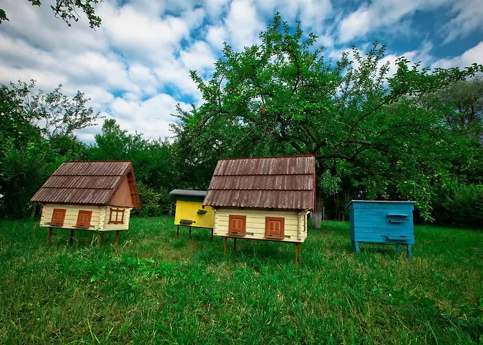 Pansionat Bogema Трускавец